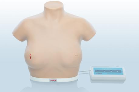 電子乳腺癌觸診、視診訓練模型